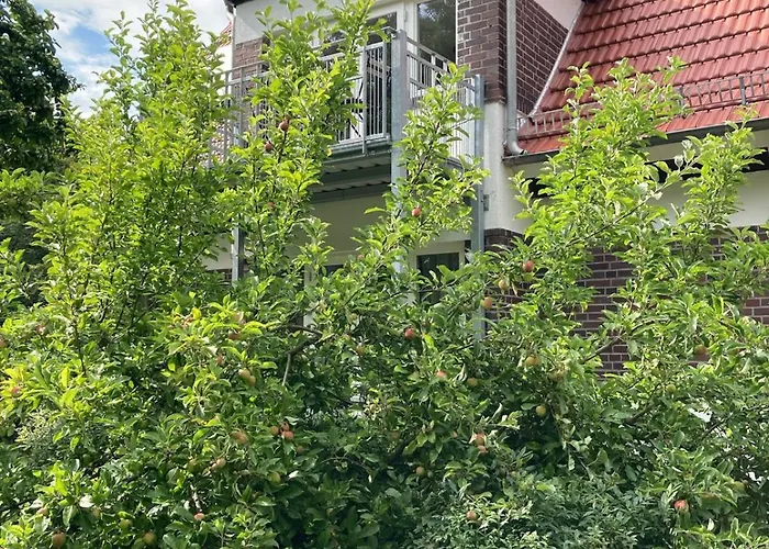 Forsthaus 2 4 Pax Kamin & Balkon * Thale